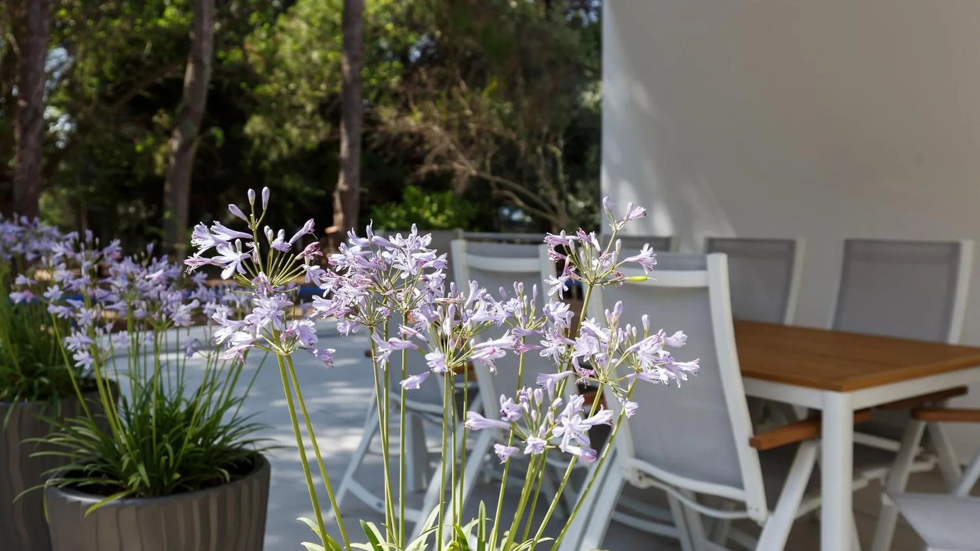 Villa Karidi Vourvourou Greece